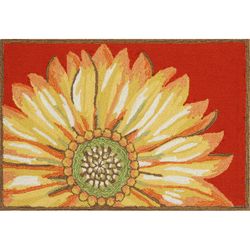 Liora Manne Frontporch 2.5 ft. W X 4 ft. L Red Contemporary Polyester Accent Rug
