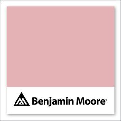 Benjamin Moore Engagement 1277