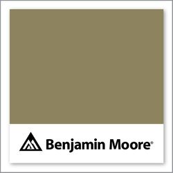 Benjamin Moore Alligator Green 2143-20