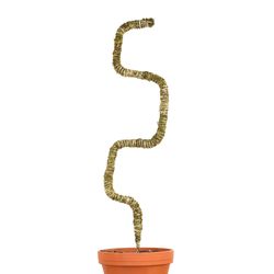 Mossify Bendable Moss Pole 42 in. H Natural Moss Pole