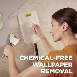Wagner 725 Steamer Wallpaper Steamer