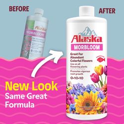 Alaska Morbloom Organic Liquid Plant Food 1 qt
