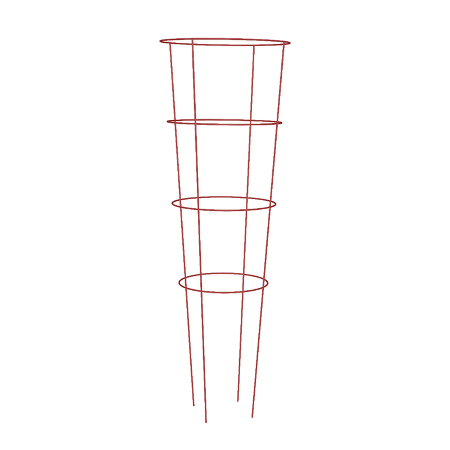 image-4