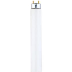 Westinghouse Eco Max 28 W T8 48 in. L Fluorescent Bulb Cool White Linear 4100 K 1 pk