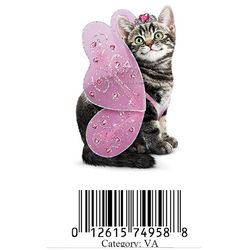 Avanti Press Greeting Cards