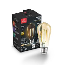 Globe Electric Wi-Fi Smart Home ST19 E26 (Medium) Smart-Enabled LED Bulb Tunable White 60 Watt Equiv