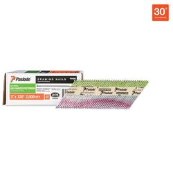 Paslode 3 in. L Angled Strip Hot-Dip Galvanized Framing Nails 30 deg 2,000 pk