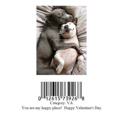 Avanti Press Greeting Cards