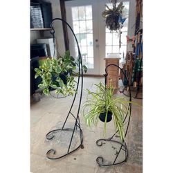 Austram Black Metal 18 in. H Lotus Plant Hanger 1 pk