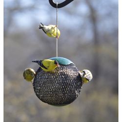 Songbird Essentials Songbird 7 cups Metal Mesh Bird Feeder