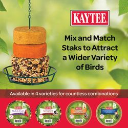 Kaytee Hot Pepper Suet 14.5 oz