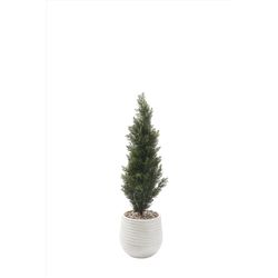 DW Silks 48 in. H X 14 in. L Polyester Cedar Topiary in White Planter