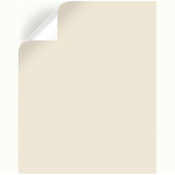 Magnolia Home by Joanna Gaines Carter Cr Peel & Stick Color Sample