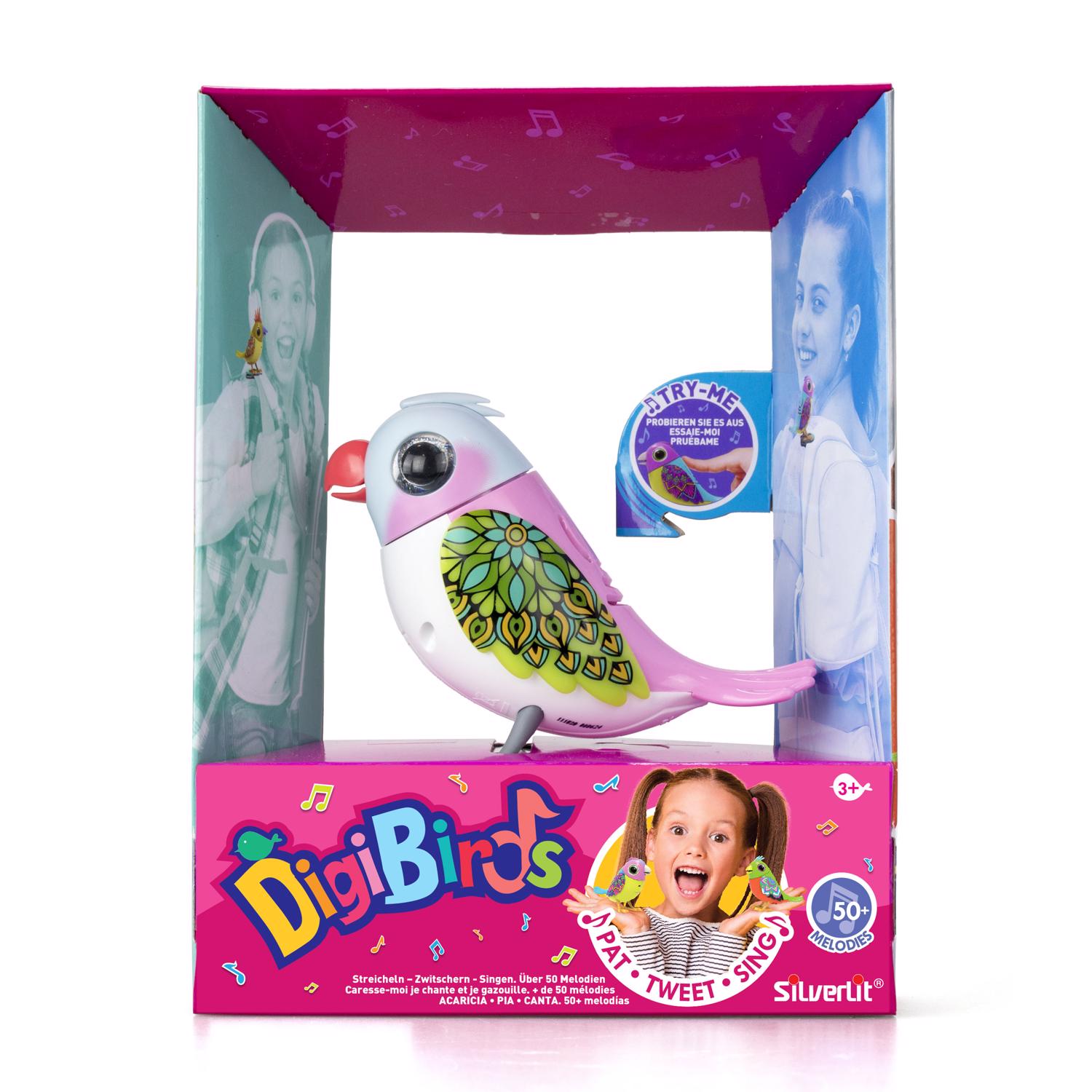 image-7