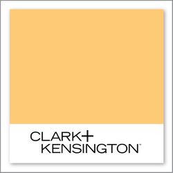 Clark+Kensington Craspedia Bouquet 18D-4