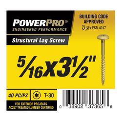 PowerPro 5/16 in. X 3 1/2 in. L Star Carbon Steel Lag Screw 40 pk