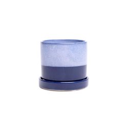 Chive Minute 3 in. D Ceramic Succulent Pot Cobalt Blue