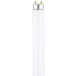 Westinghouse Eco Max 17 W T8 24 in. L Fluorescent Bulb Cool White Linear 4100 K 1 pk