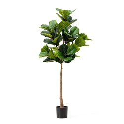 Glitzhome Green Plastic 61 in. H X 60 in. L X 24 in. W Fiddle Leaf Fig Artificial Potted Plant