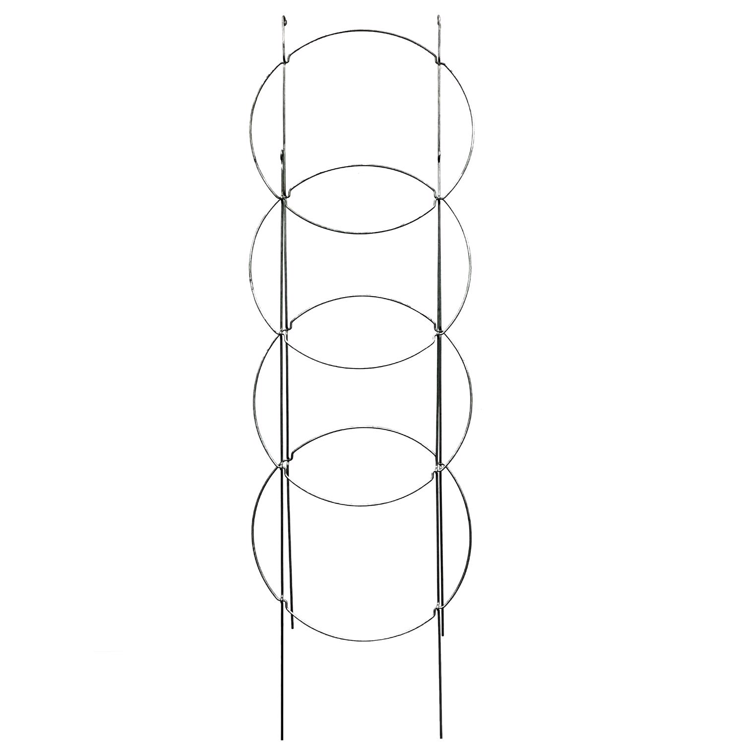image-2
