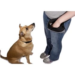 PetSafe For All Pets Black/Gray Nylon Sport Treat Pouch Medium 1 pc