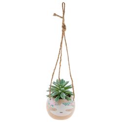 Karma 2 in. H X 2 in. L Multicolored Ceramic Hanging Succulent Pot