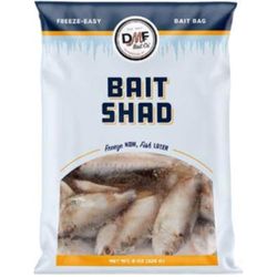 DMF Bait Fishing Bait