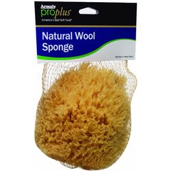 Armaly ProPlus Medium Duty Antibacterial Sponge For All Purpose 8 in. L 1 pk