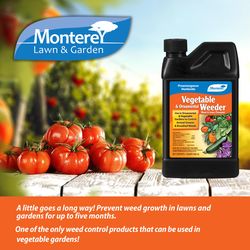 Monterey Weed and Grass Weed Preventer Concentrate 1 qt
