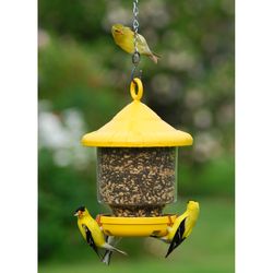 Songbird Essentials Songbird 4 cups Plastic Clingers Bird Feeder