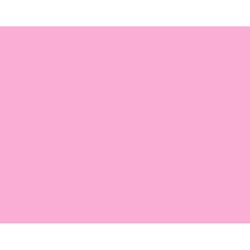 Bazic Products 22 in. W X 28 in. L Pink Poster Board