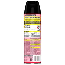 Raid Ant and Roach Killer Aerosol 17.5 oz
