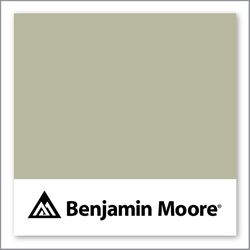 Benjamin Moore Tree Moss 508