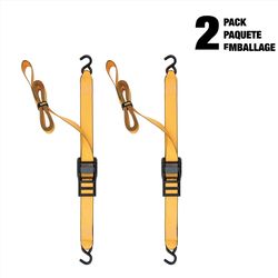 DeWalt 2.0 in. W X 10 ft. L Cam Buckle 1000 lb 2 pk