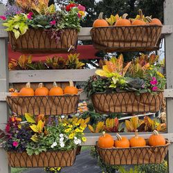 Austram 7.48 in. H X 7.08 in. W X 36 in. D Metal Lotus Planter Black