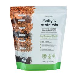 Veryplants Molly's Indoor Plant Aroid Mix 10 qt