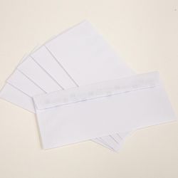 Bazic Products 4-1/8 in. W X 9-1/2 in. L No. 10 White Envelopes 40 pk