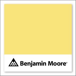 Benjamin Moore No-Nonsense 361