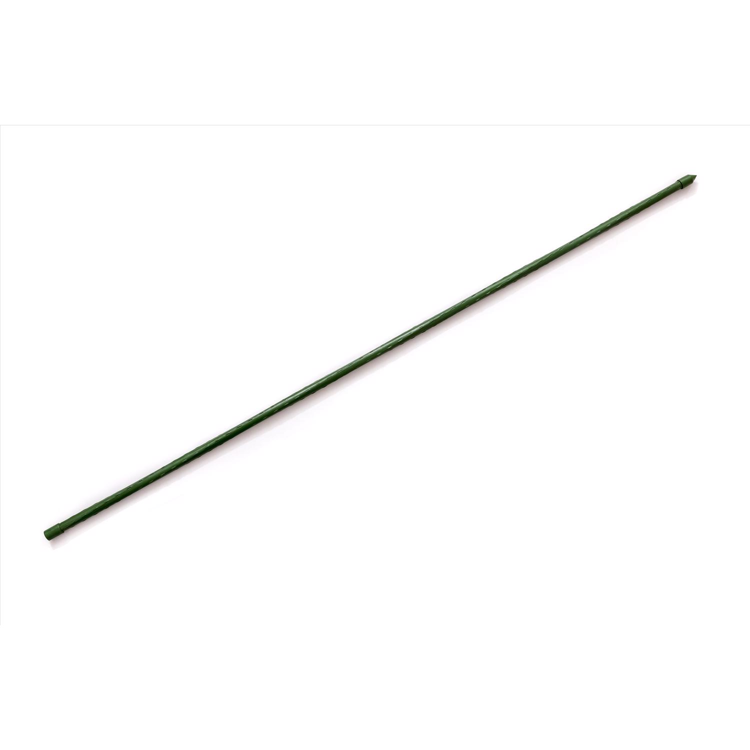 image-1