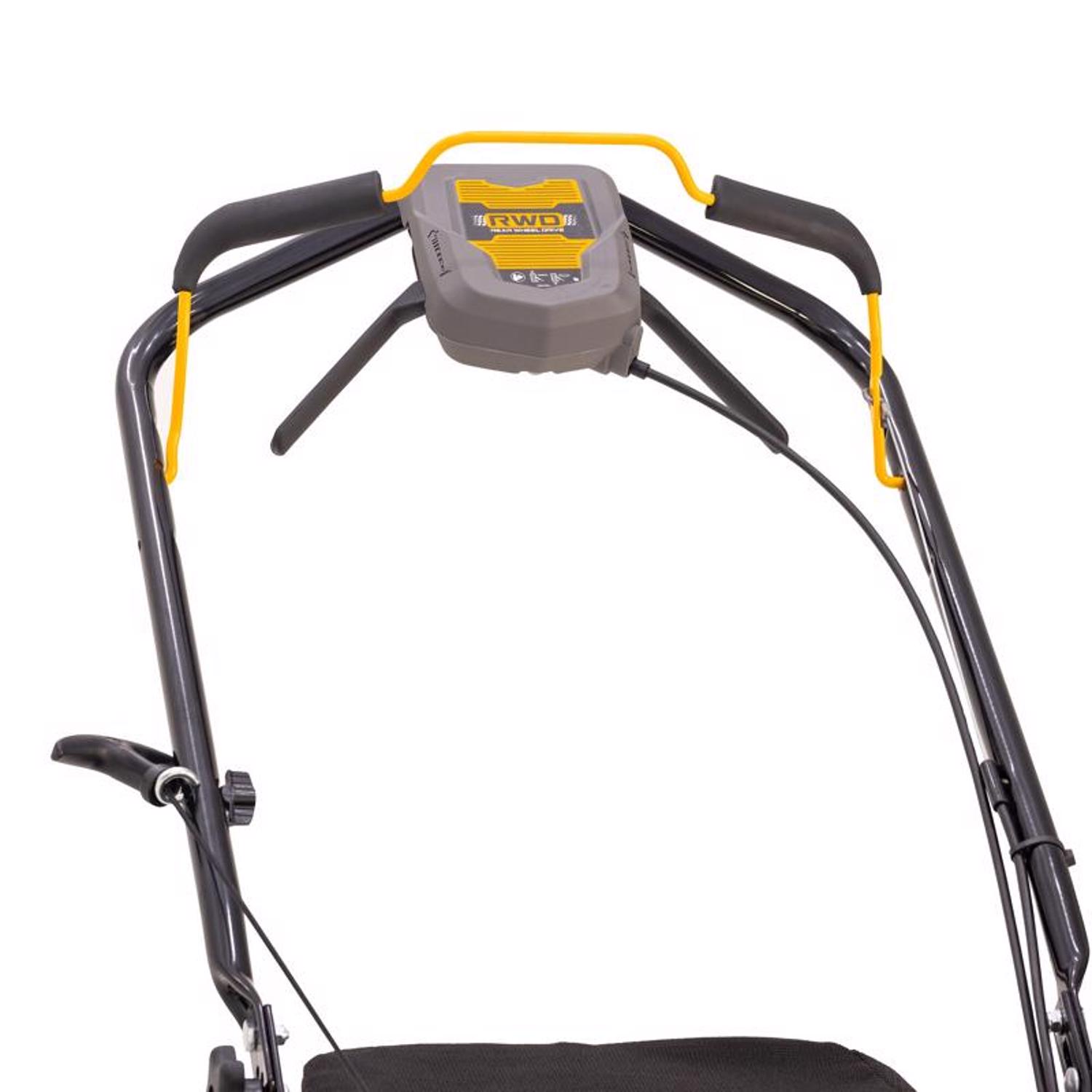 image-7