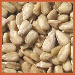 Cole's Wild Bird Food 20 lb