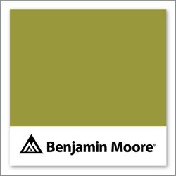 Benjamin Moore Forest Moss 2146-20
