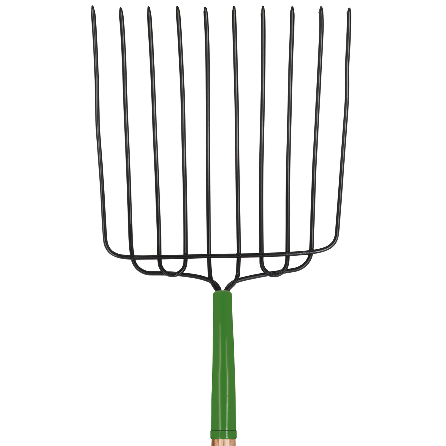 image-2