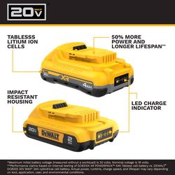DEWALT 20V MAX DCB224-2 Lithium-Ion Battery 2 pc