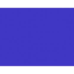 Bazic Products 22 in. W X 28 in. L Fluorescent Blue Poster Board