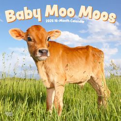 BrownTrout Publishers 2026 Square Flap .10 in. H X 12 in. L Multicolored Paper Baby Moo Moos Calenda