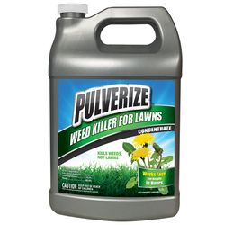 Pulverize Weed and Grass Killer RTU Liquid 1 gal