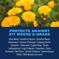BioAdvanced All-In-One Weed and Crabgrass Killer Concentrate 32 oz
