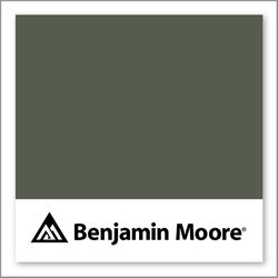 Benjamin Moore Vintage Vogue 462