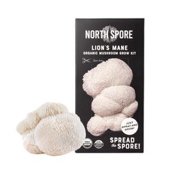 North Spore Spray & Grow Lion's Mane Mushroom Vegetable Plant